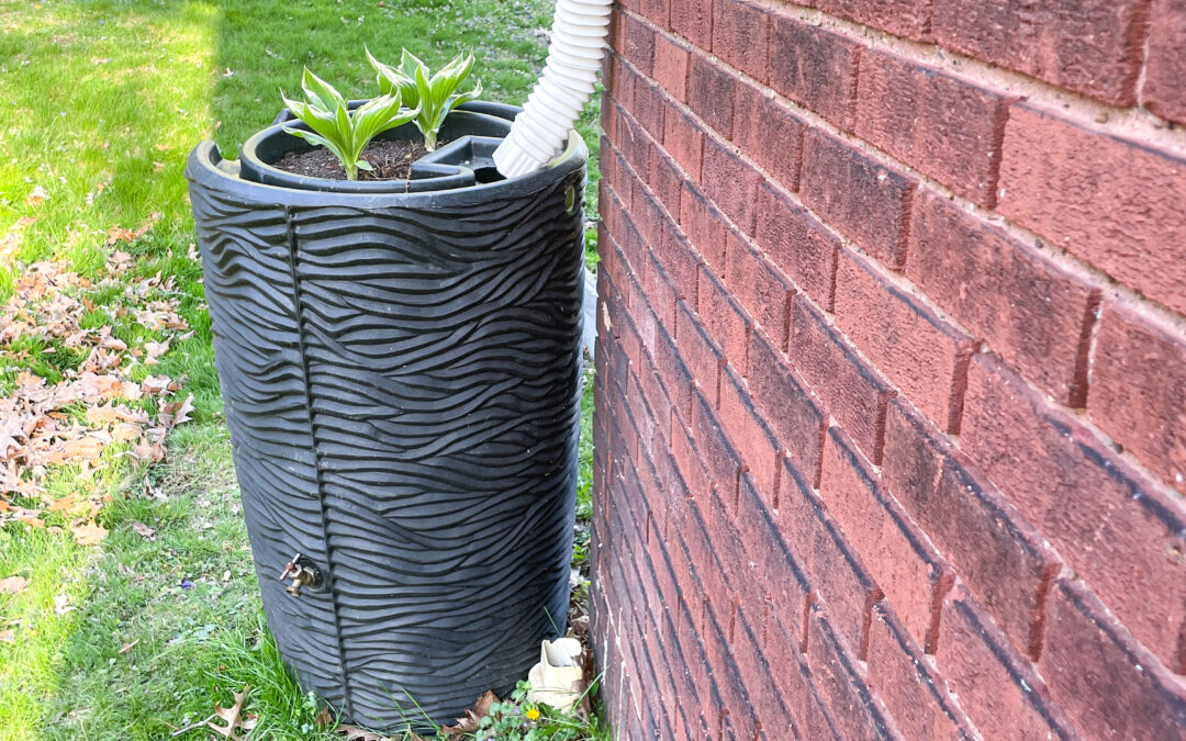 5 Ways to Celebrate Earth Day at Home